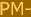 PM-